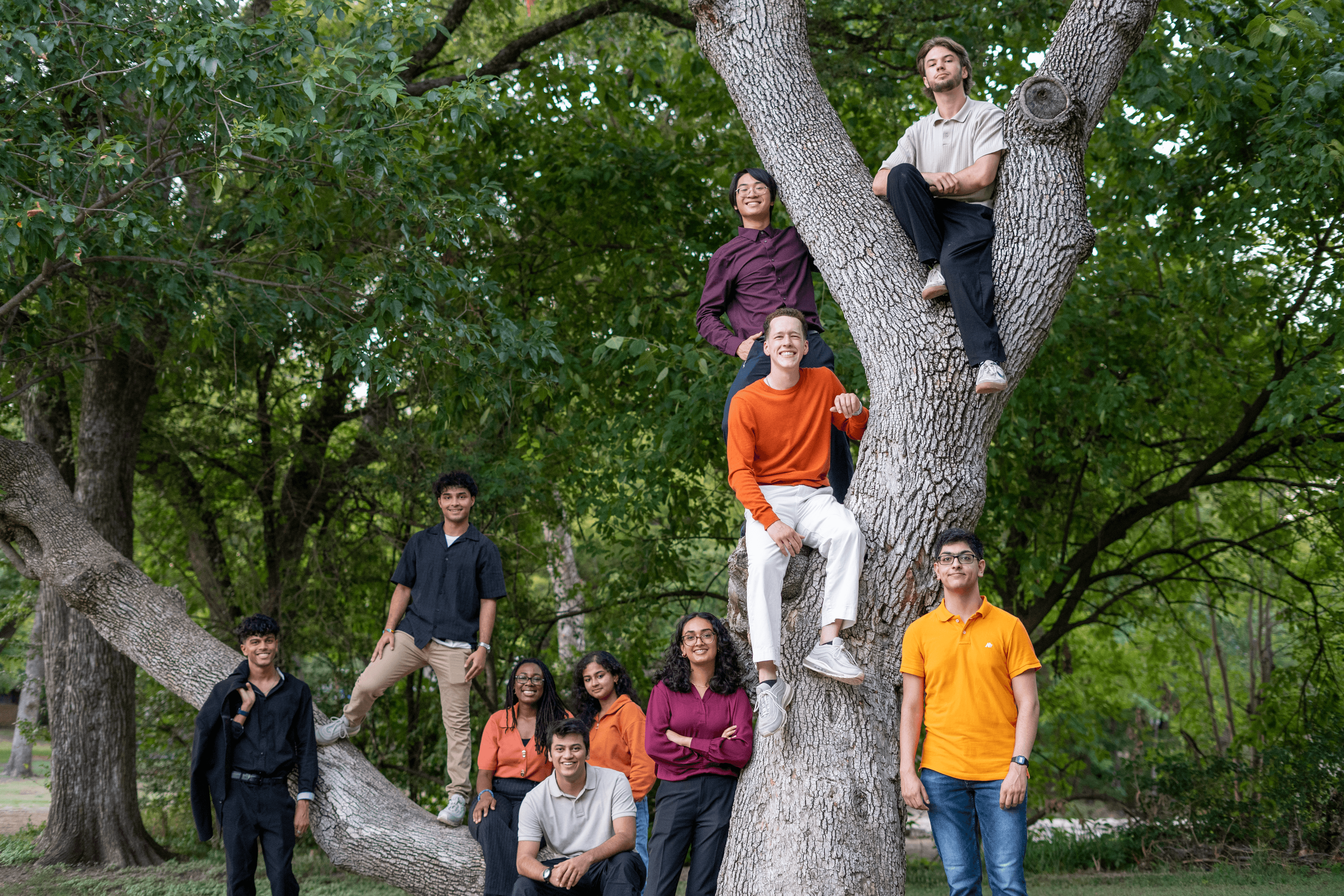 The Team In The Trees